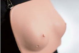 乳房触診モデル装着式
